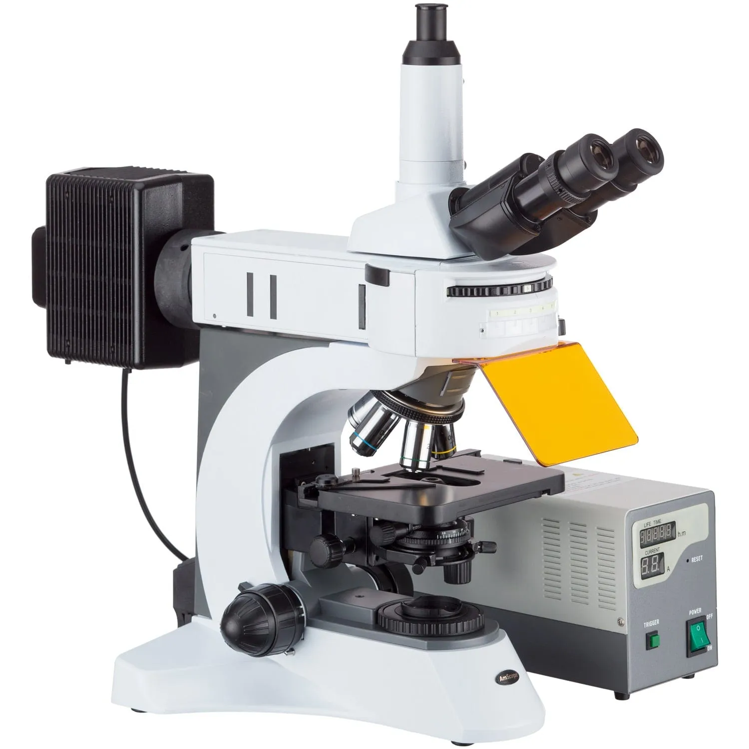 AmScope FM820 Series Upright Fluorescence Trinocular Compound Microscope 40X-1000X Magnification with Rotating Multi-filter Turret, HDMI Camera and Screen