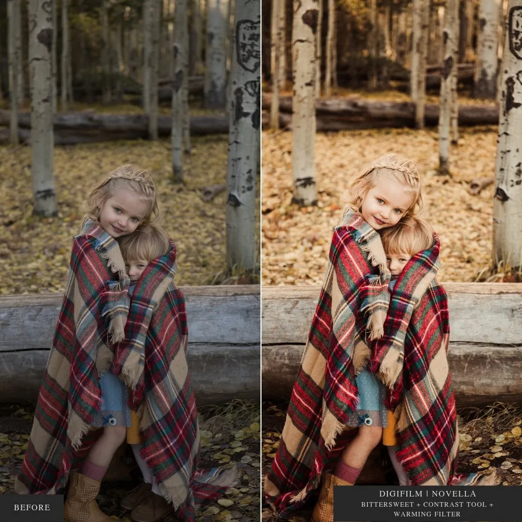 ColorMade Lightroom Preset Bundle (18 collections)