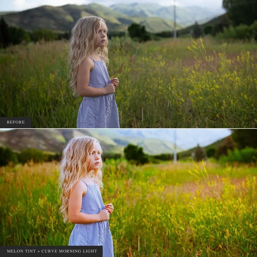 ColorMade Lightroom Preset Bundle (18 collections)