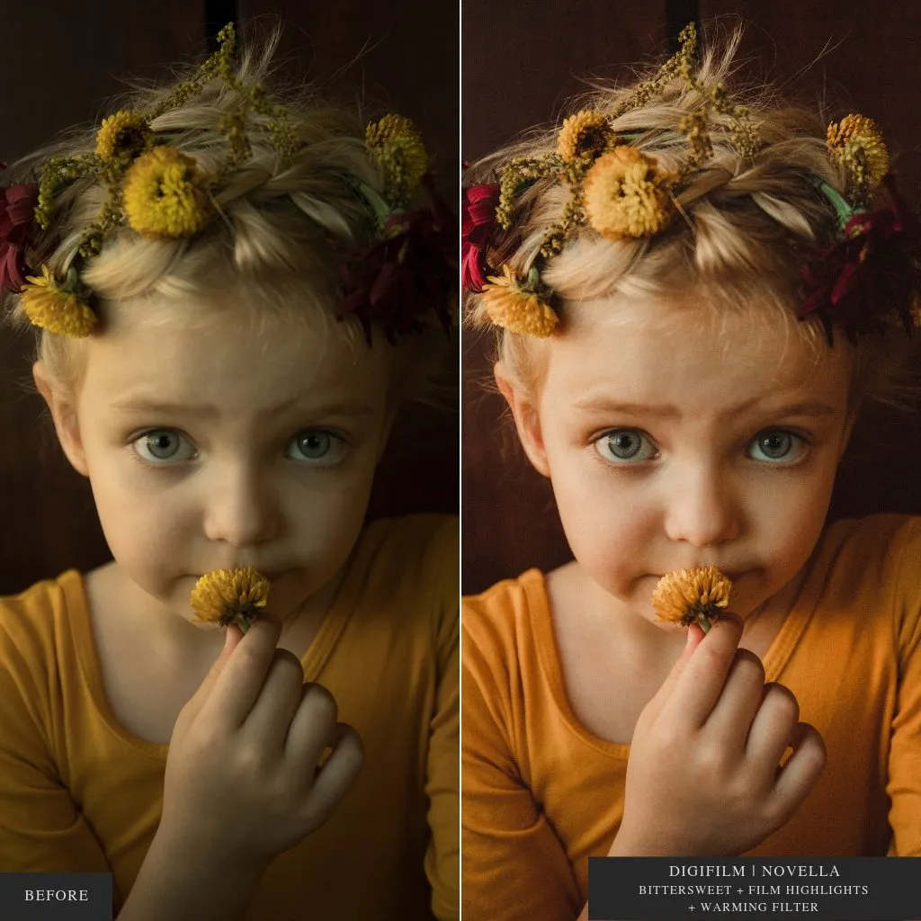 ColorMade Lightroom Preset Bundle (18 collections)