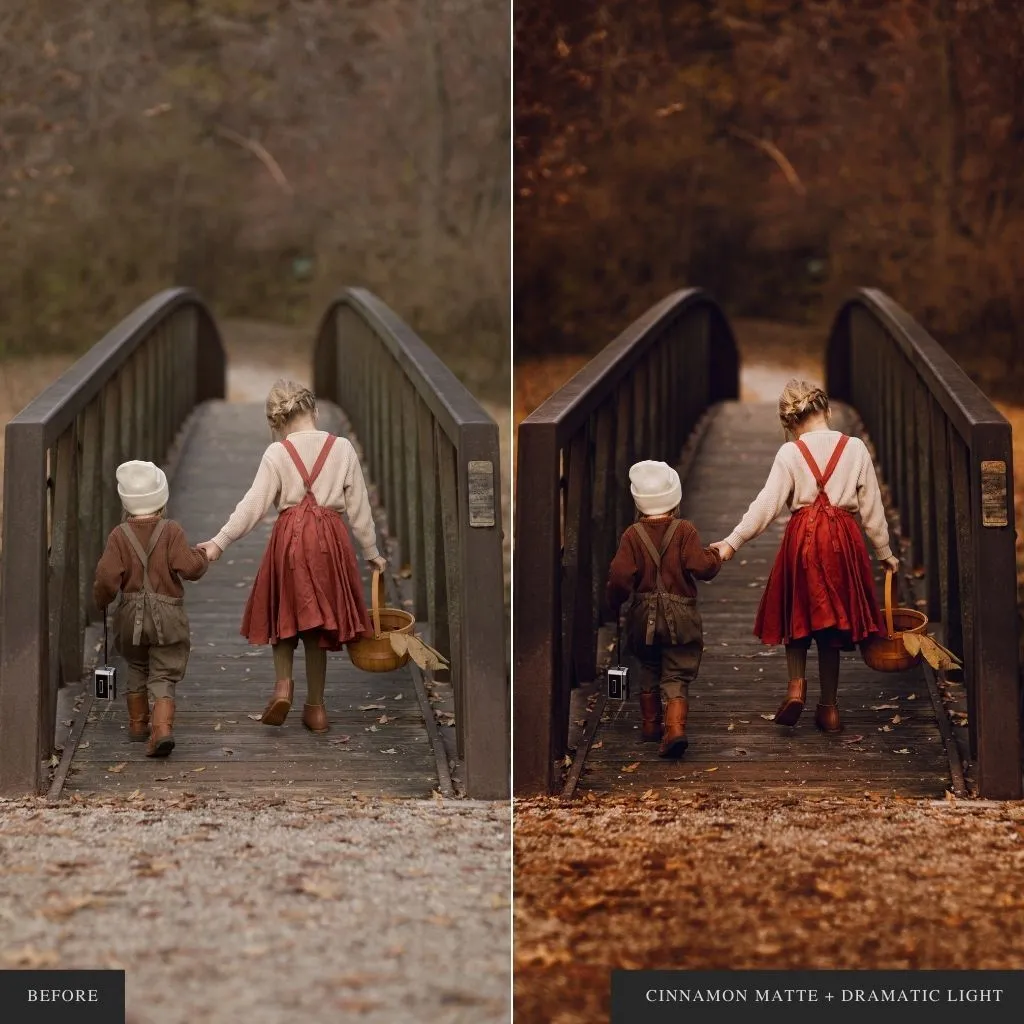 ColorMade Lightroom Preset Bundle (18 collections)