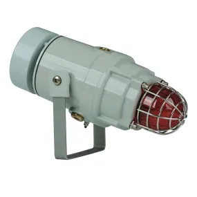 D1xC2X10R Radial Alarm Horn & Xenon Strobe (1,000,000cd)