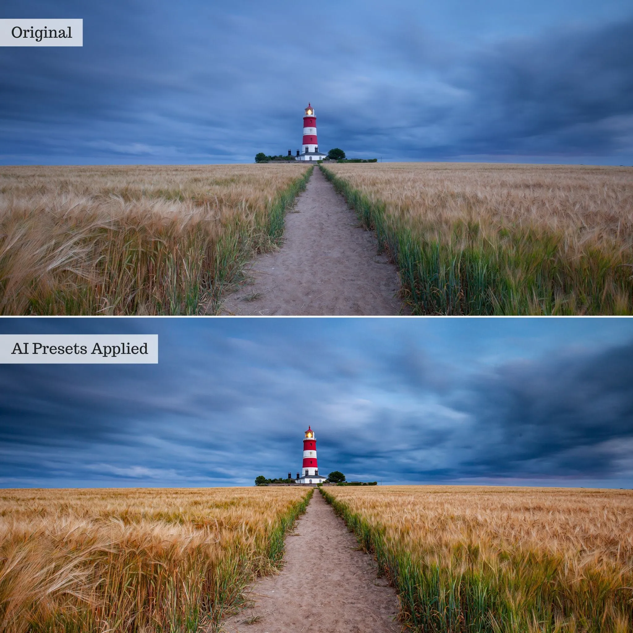 Landscape, Wildlife & Animals Artificial Intelligence (AI) Retouch Toolkit Lightroom Presets – Desktop