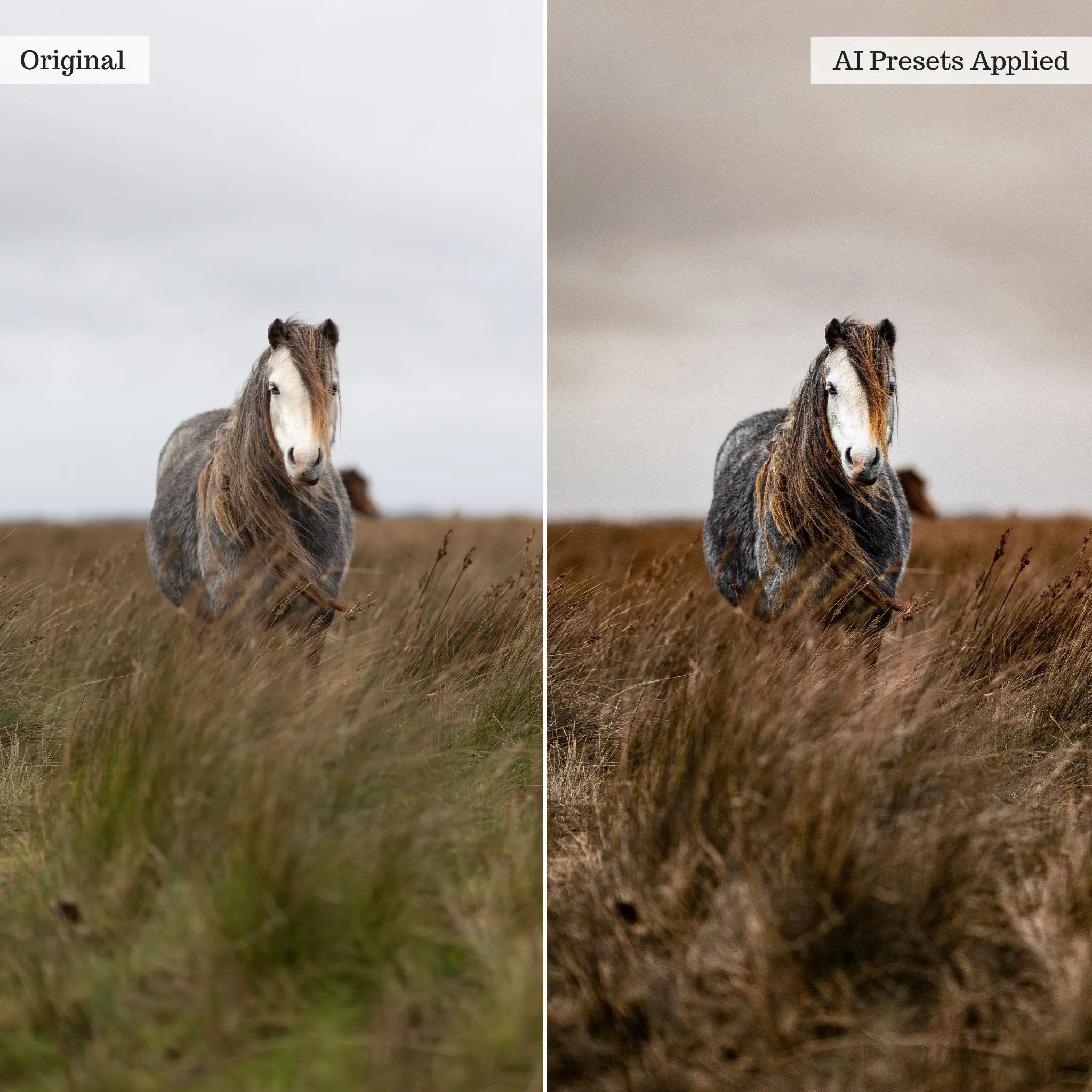 Landscape, Wildlife & Animals Artificial Intelligence (AI) Retouch Toolkit Lightroom Presets – Desktop