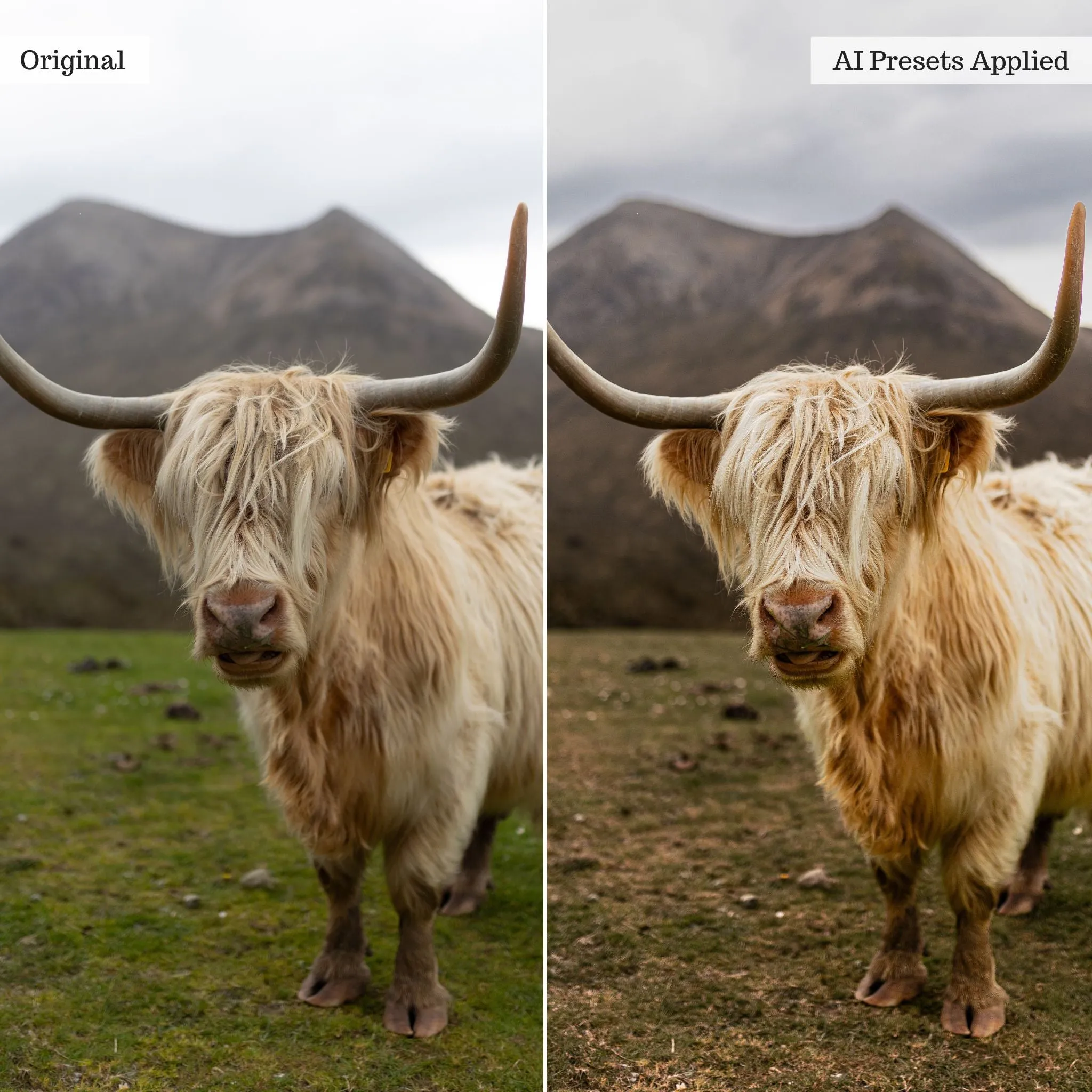 Landscape, Wildlife & Animals Artificial Intelligence (AI) Retouch Toolkit Lightroom Presets – Desktop