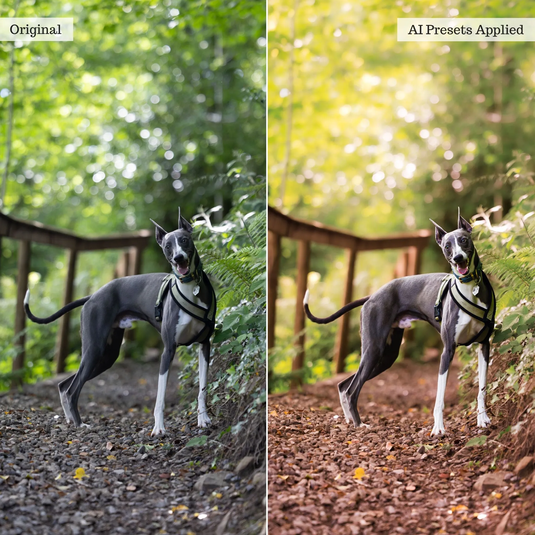 Landscape, Wildlife & Animals Artificial Intelligence (AI) Retouch Toolkit Lightroom Presets – Desktop