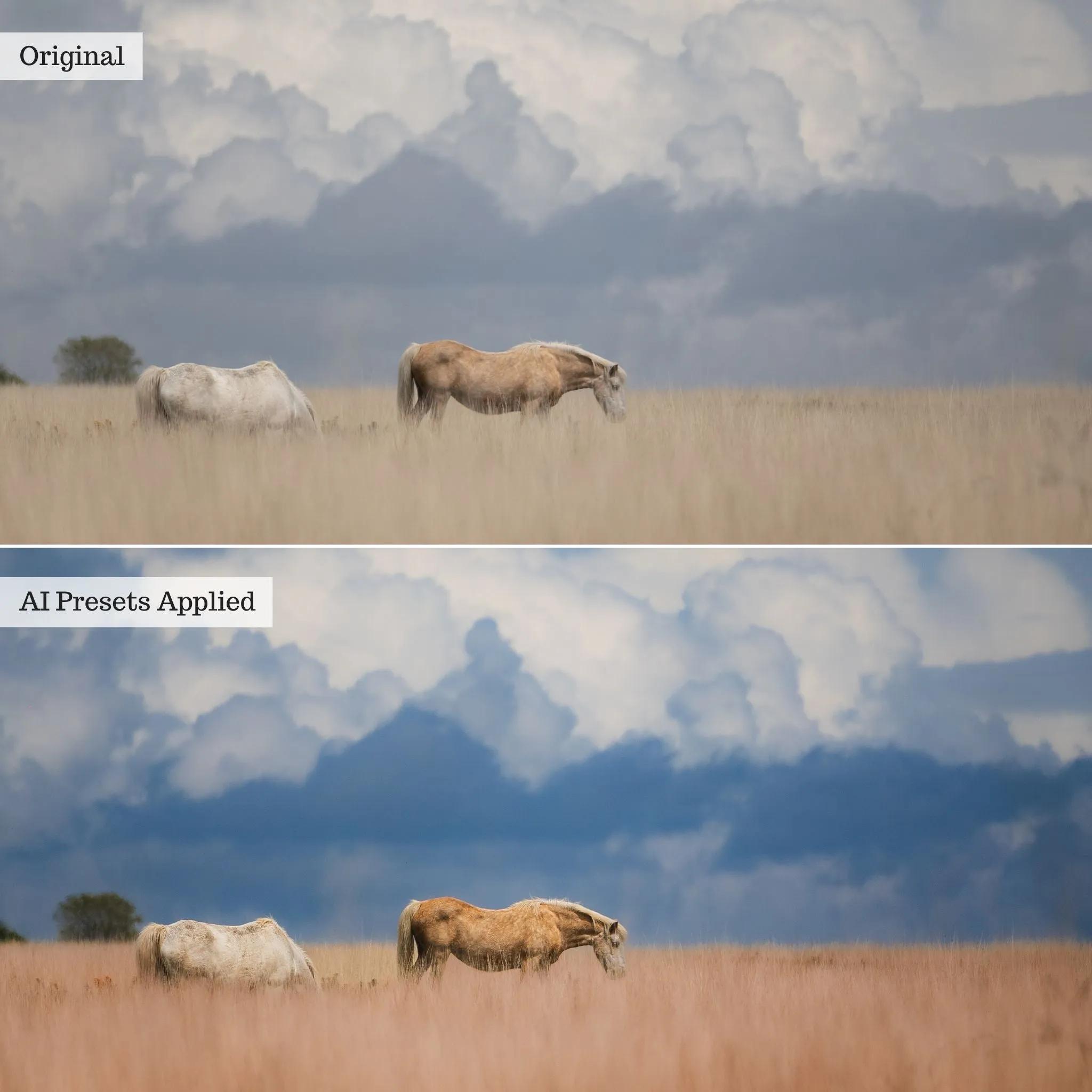 Landscape, Wildlife & Animals Artificial Intelligence (AI) Retouch Toolkit Lightroom Presets – Desktop