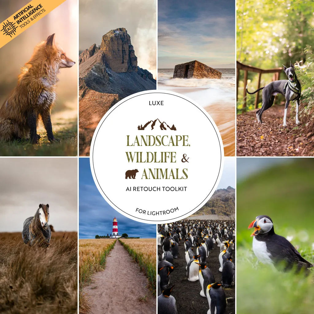 Landscape, Wildlife & Animals Artificial Intelligence (AI) Retouch Toolkit Lightroom Presets – Desktop