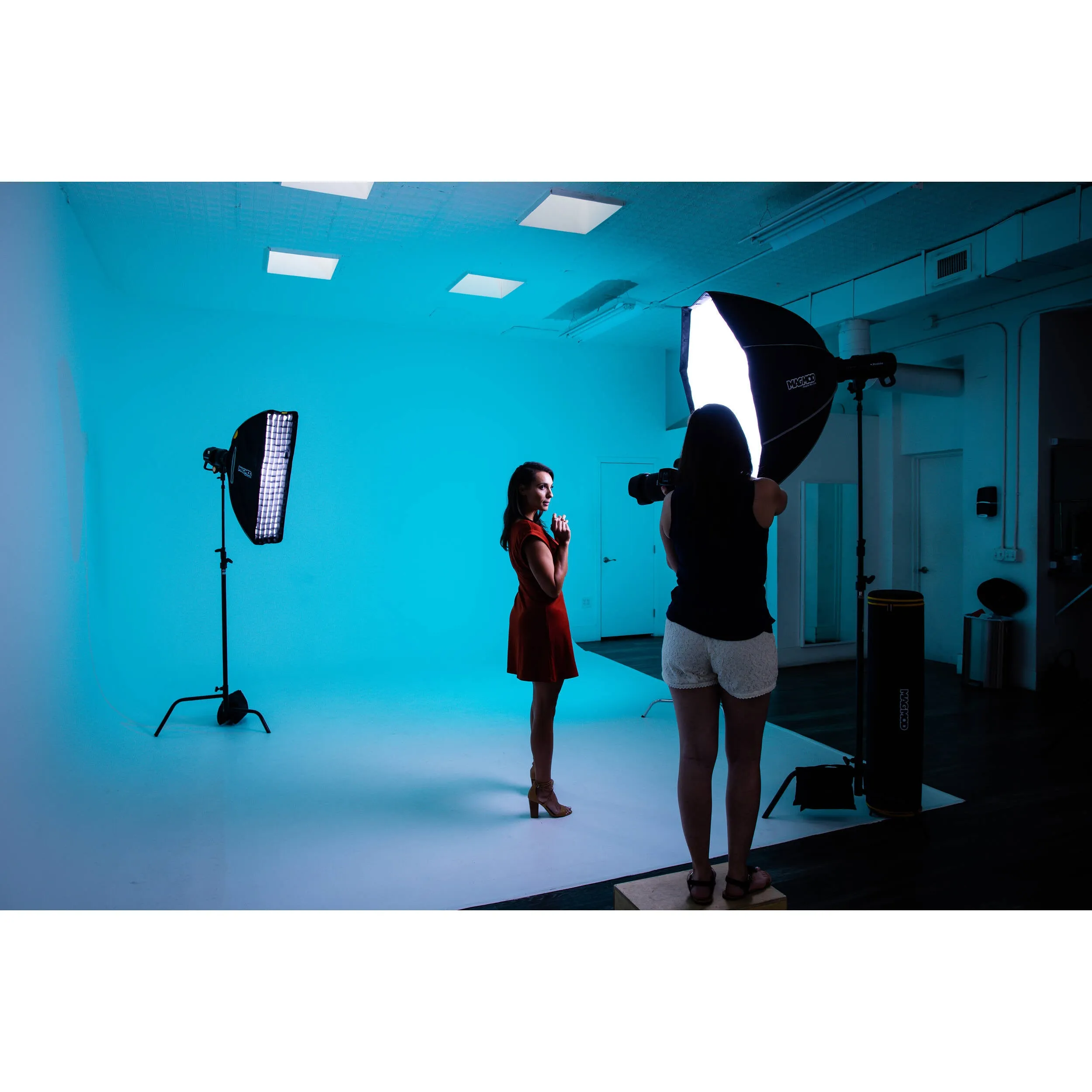 MagBox PRO 36" Strip Softbox with Super-Fast Zip-On Diffuser