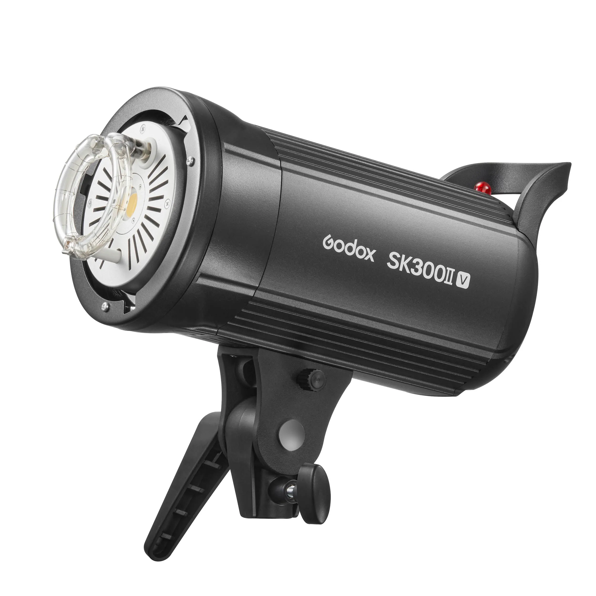 SK300II-V Dual Studio Flashes Kit