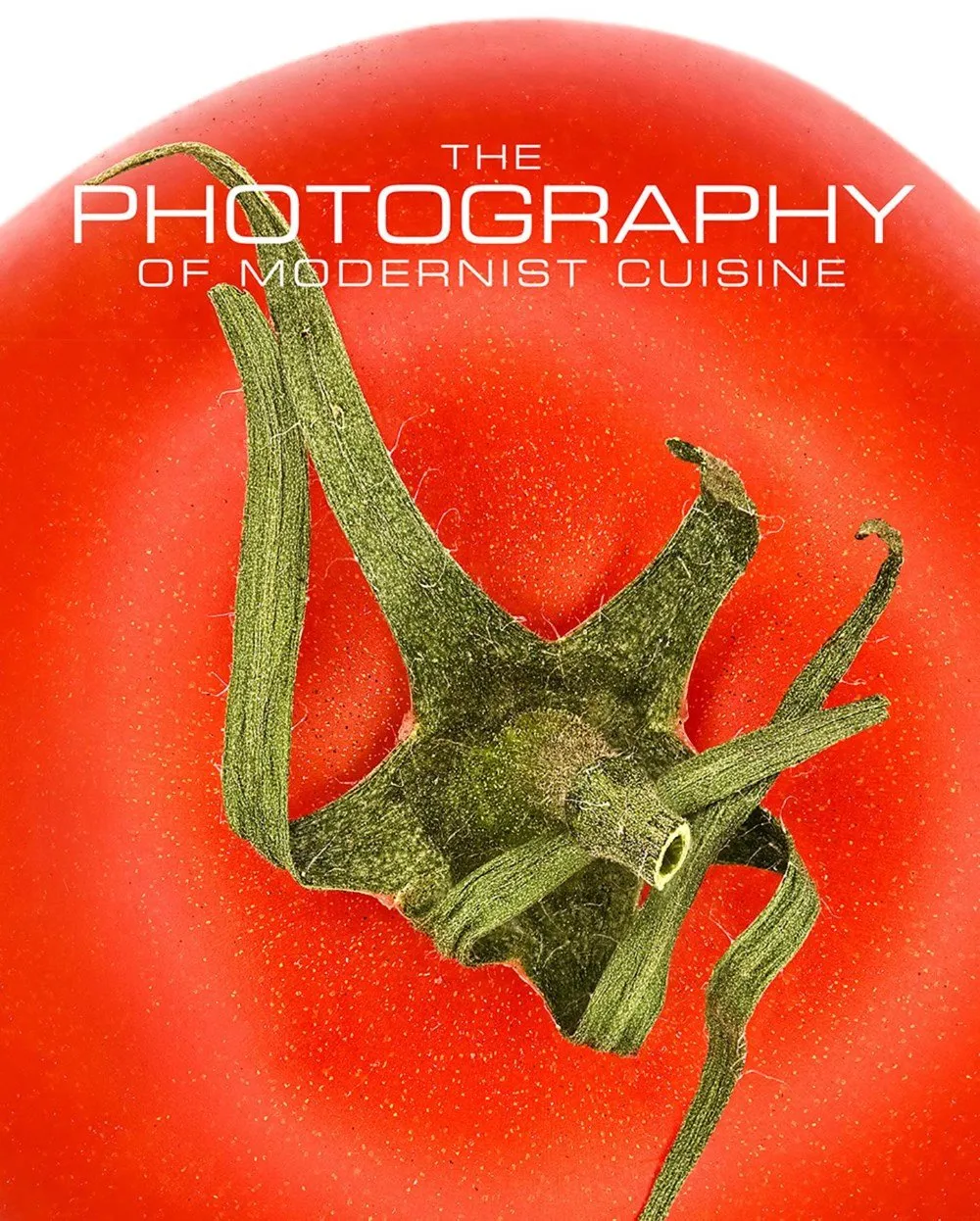 The Photography of Modernist Cuisine